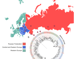 Schéma d'échantillonnage des souches B0/W148 et schémas d'expansion phylogéographique en Eurasie