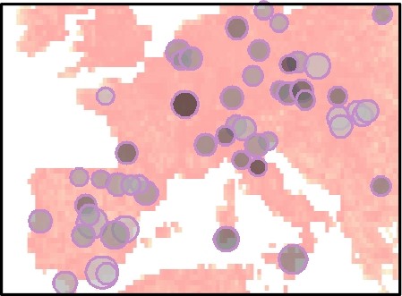 Richesses végétales en Europe en fonction de l’empreinte humaine, sur fond de carte des sites étudiés dans le projet DarkDivNet.