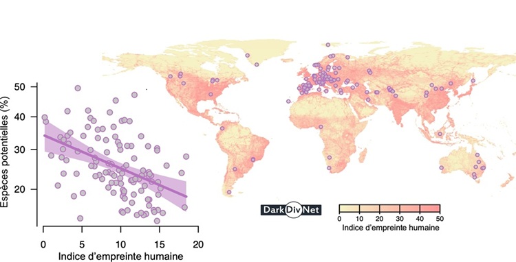 Richesses végétales en fonction de l’empreinte humaine, sur fond de carte des sites étudiés dans le projet DarkDivNet.