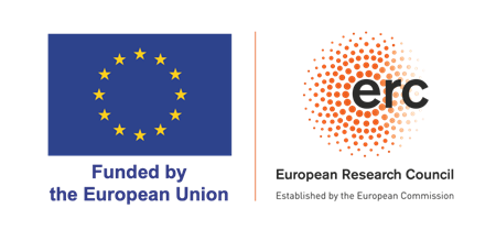Logo ERC-Flag FP