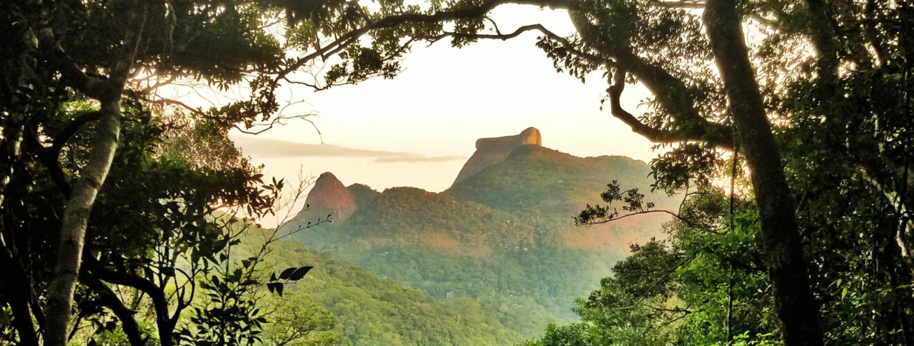 Stage de langue - Tupi ancien