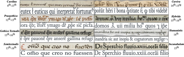 Typologie d'écriture médiévale
