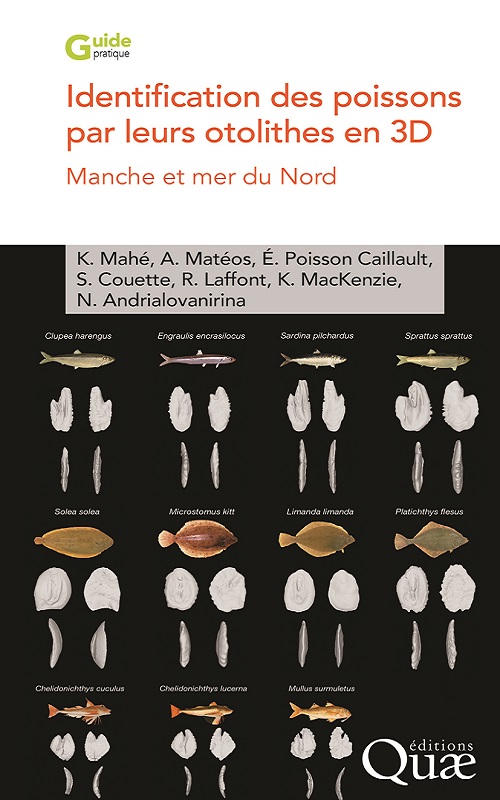 Première de couverture. Identification des poissons par leurs otolithes en 3D,
