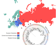 Schéma d'échantillonnage des souches B0/W148 et schémas d'expansion phylogéographique en Eurasie
