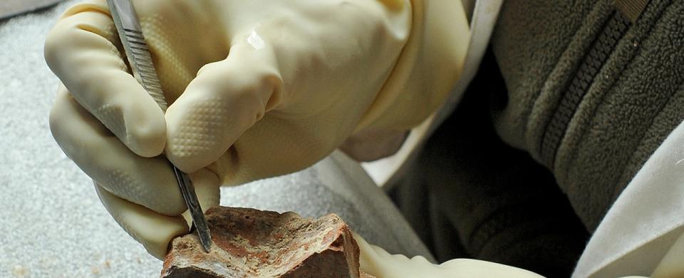 Investir dans une recherche de pointe