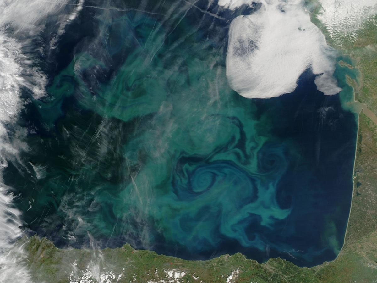 Bay of Biscay from Aqua NASA.jpg