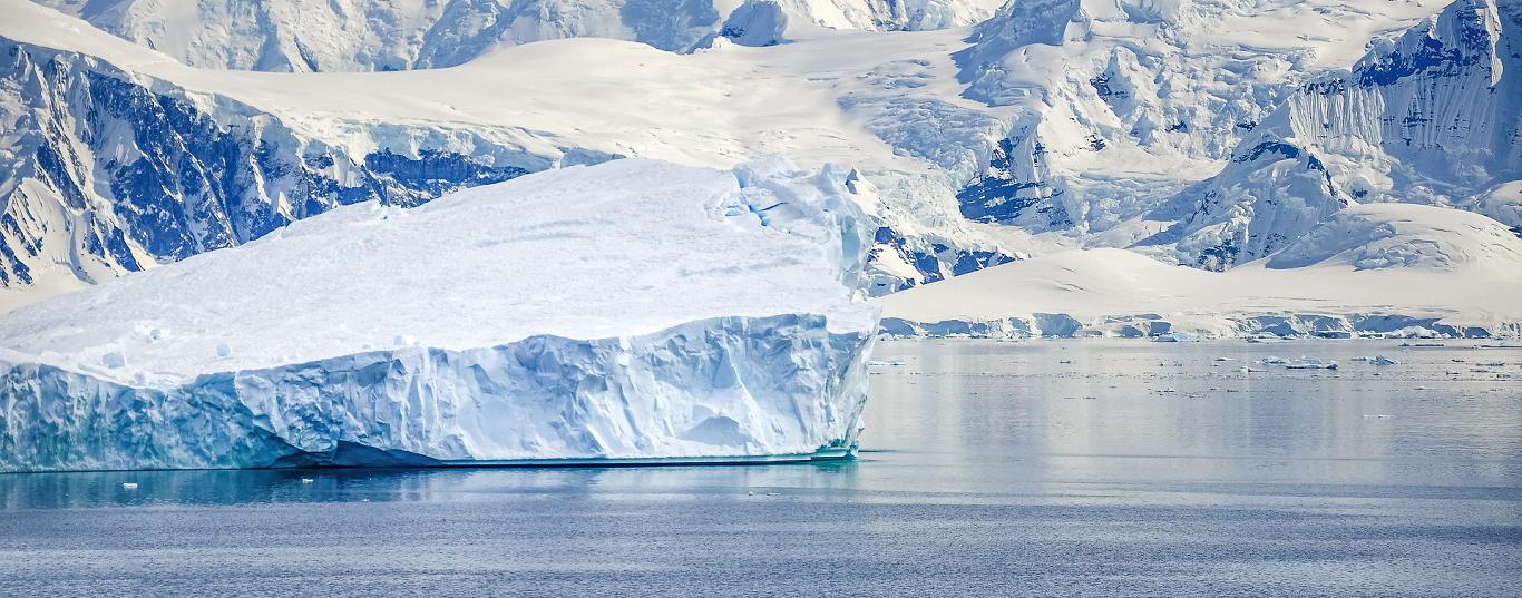 Iceberg