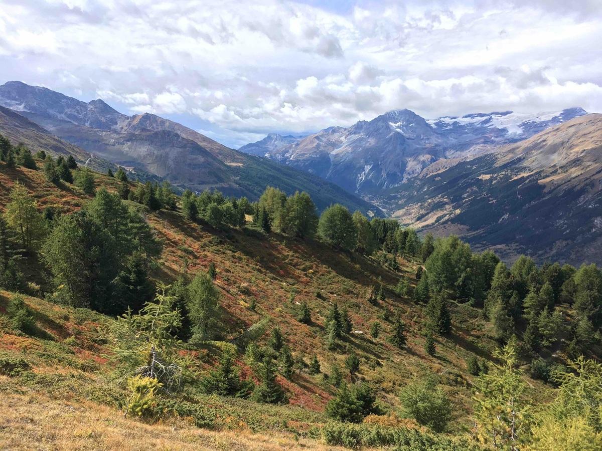 Paysage montagneux