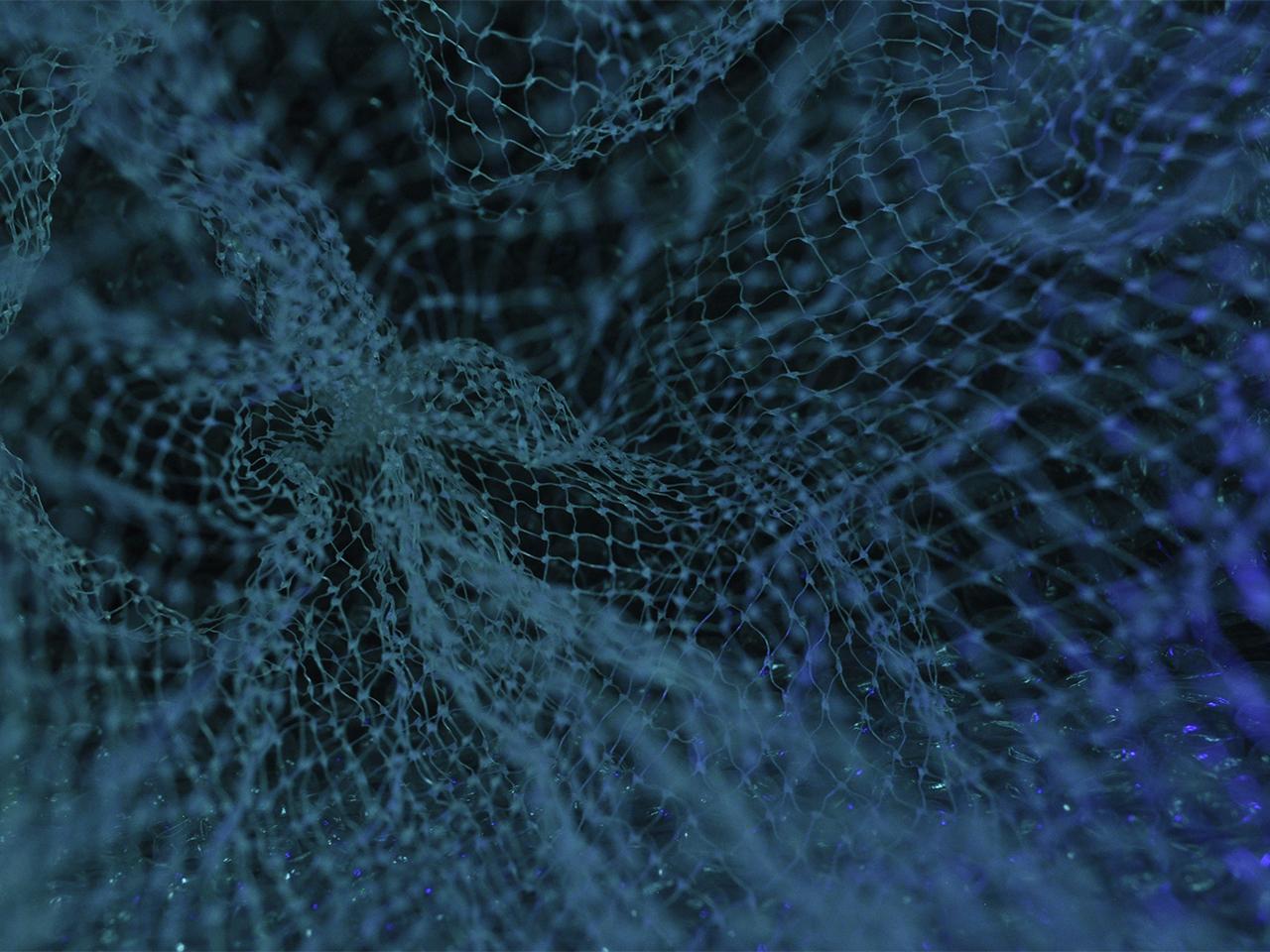 Tisser le lien entre le monde socio-économique et la recherche