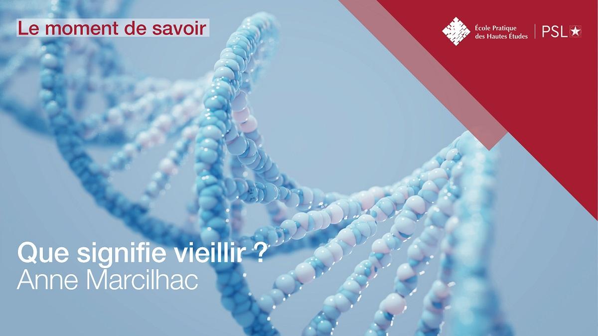 Le moment de savoir - Que signifie vieillir ? par Anne Marcilhac