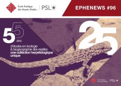 Vignette Newsletter 96