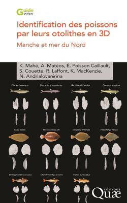 Première de couverture. Identification des poissons par leurs otolithes en 3D, 