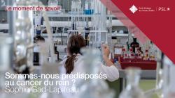 Moment de savoir EPHE-PSL. Sommes-nous prédisposés au cancer du rein ?, par Sophie Gad-Lapiteau