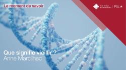 Moment de savoir EPHE-PSL. Que signifie vieillir ?