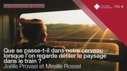 Moment de savoir EPHE-PSL. Que se passe-t-il dans notre cerveau lorsque l'on regarde défiler le paysage ?