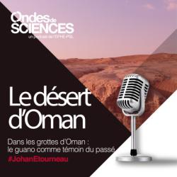 Le désert d'Oman. Le garao