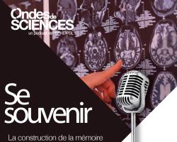 Se souvenir. Podcast EPHE-PSL avec Françis Eustache