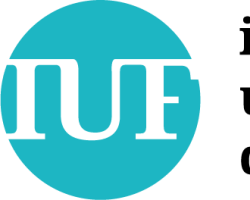 Logo IUF