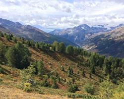 Paysage montagneux
