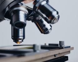Microscope