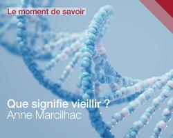 Le moment de savoir - Que signifie vieillir ? par Anne Marcilhac